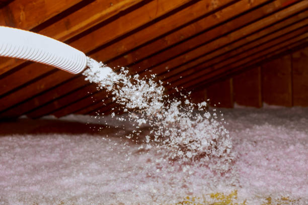 Insulation Replacement Services in Coats, NC