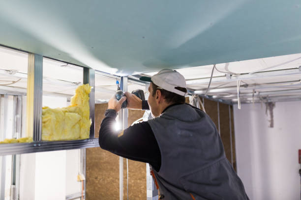 Best Insulation Replacement Services  in Coats, NC