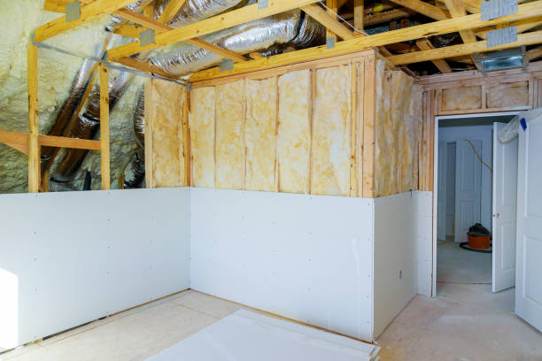Best Cellulose Insulation  in Coats, NC