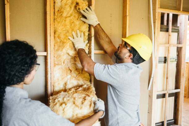 Professional Insulation Contractor in Coats, NC