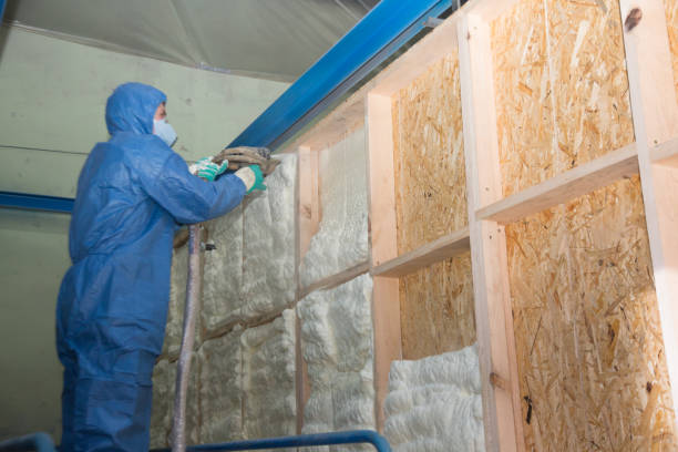 Best Attic Insulation Installation  in Coats, NC