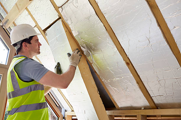Best Affordable Insulation Services  in Coats, NC