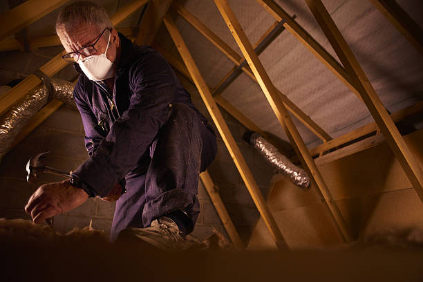 Best Crawl Space Insulation  in Coats, NC
