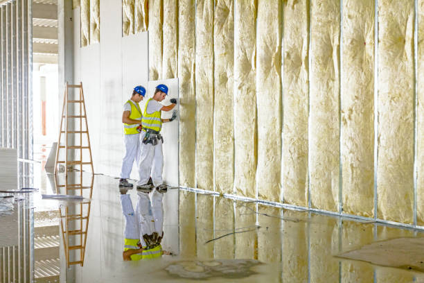 Insulation Replacement Services in Coats, NC